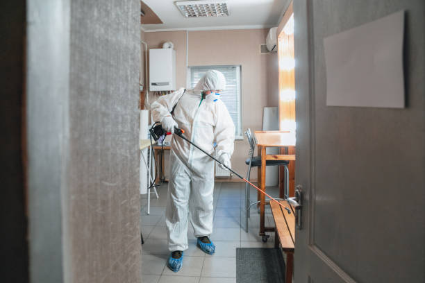 Best Mold Documentation for Insurance Claims  in Avenue B And C, AZ