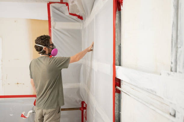 Forensic Mold Investigation in Avenue B And C, AZ