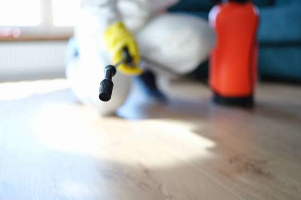 Best Industrial Mold Remediation  in Avenue B And C, AZ