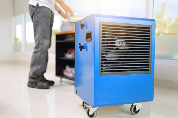 Best Emergency Mold Remediation  in Avenue B And C, AZ